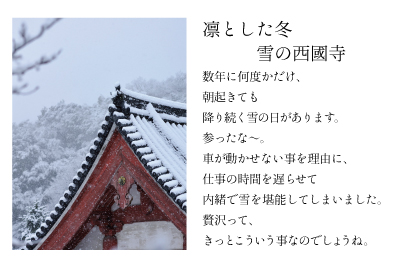 凛とした冬　雪の西國寺