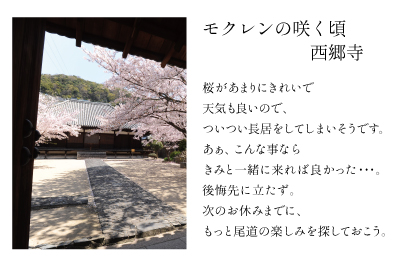 木蓮の咲く頃　西郷寺