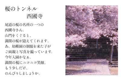 桜のトンネル西國寺