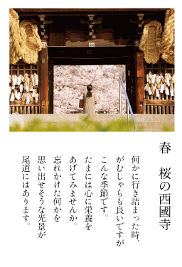 尾道　春　桜の西國寺