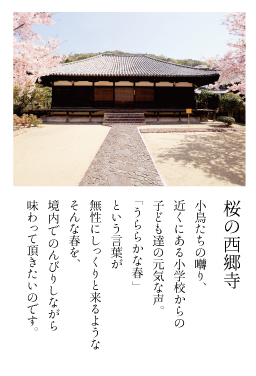 尾道　桜の西郷寺